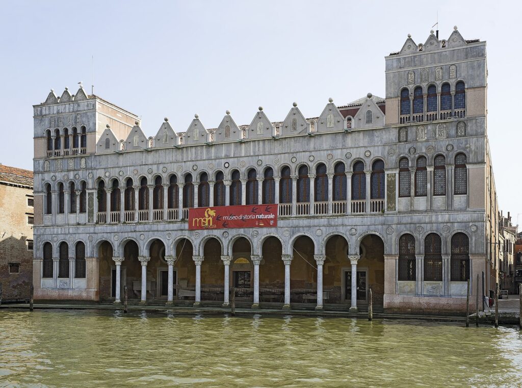 Museu de História Natural