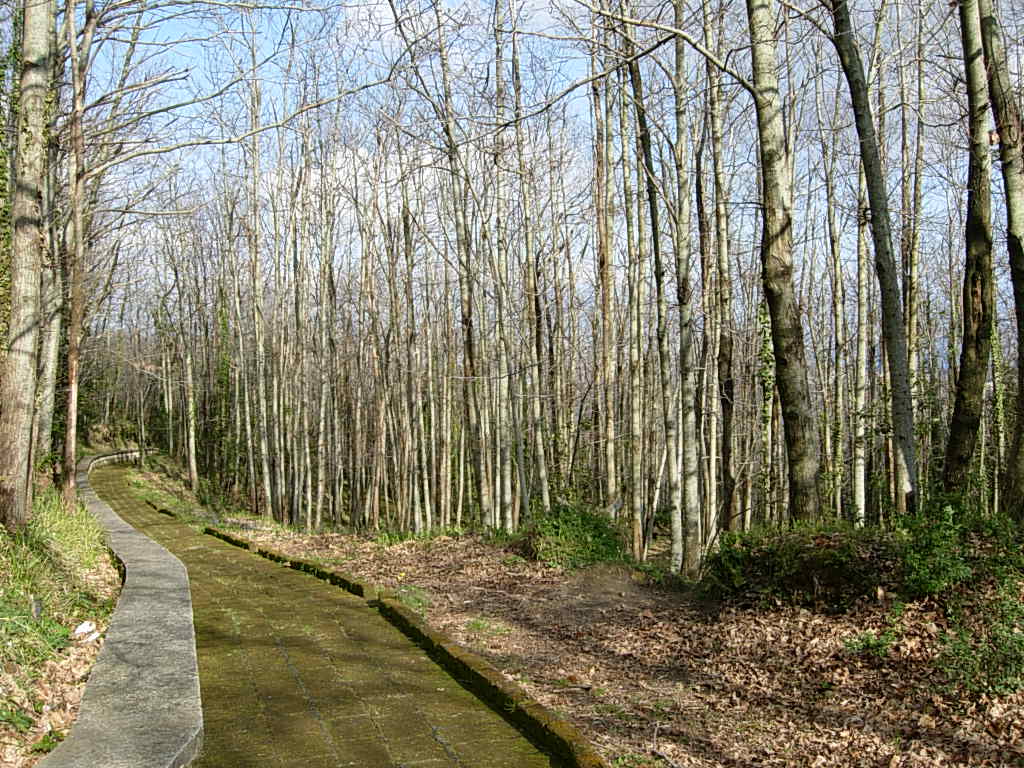 Parque dos Camaldoli