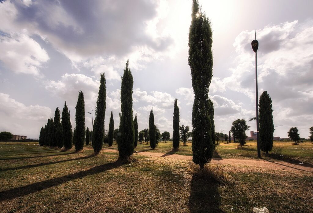 Parco-di-Centocelle.jpg