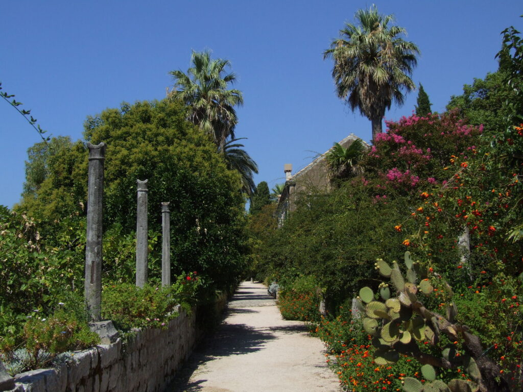 Arboreto de Trsteno