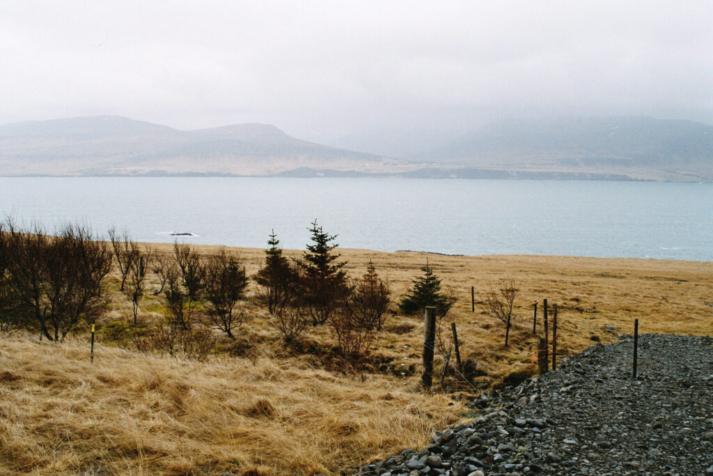 Fiordo das Baleias Hvalfjörður