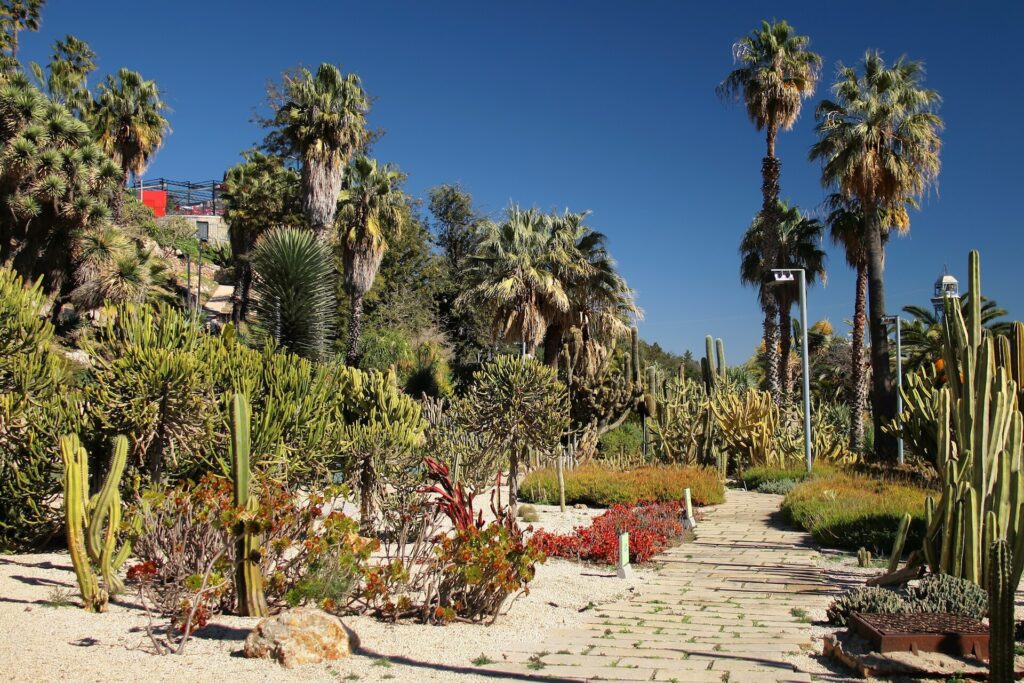 Jardins de Mossen Costa i Llobera