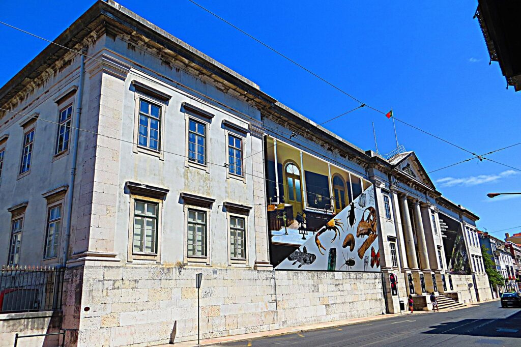 Museu da Universidade de Lisboa