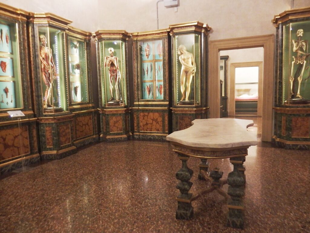 Museu Palazzo Poggi