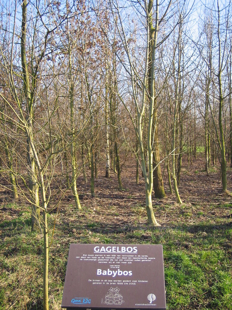 Noorderpark