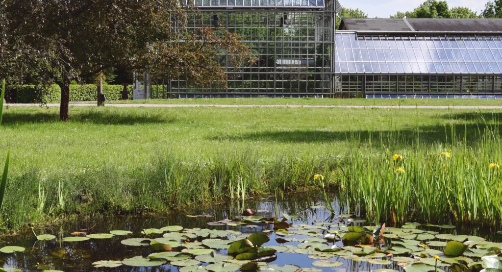 Parque Botânico Popular Blankenfelde-Pankow