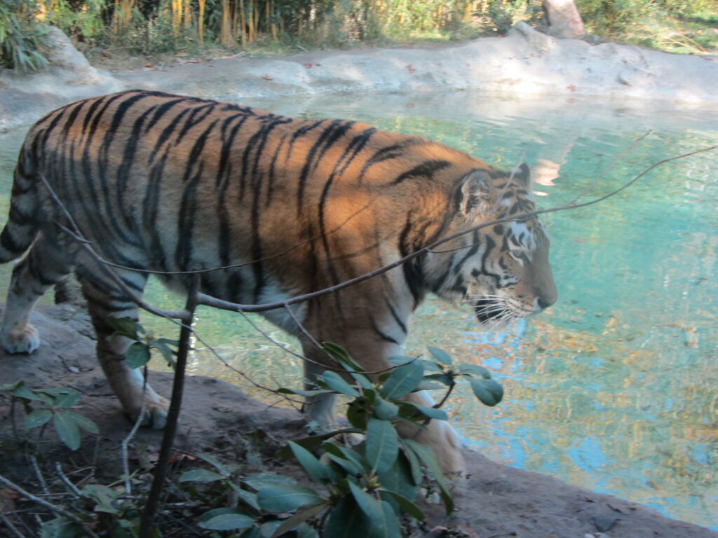 Parque Natureza Viva